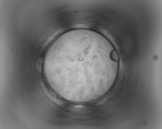 X0000111230153200907231512