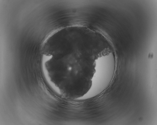 X0000111230155200907231512