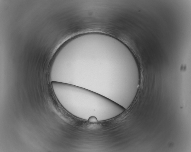 X0000111230156200907231512