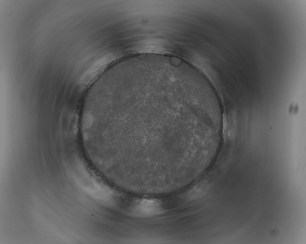 X0000111230157200907231512