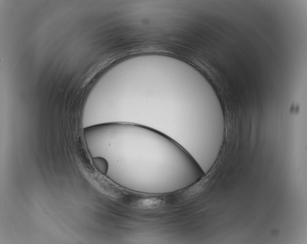 X0000111230158200907231512