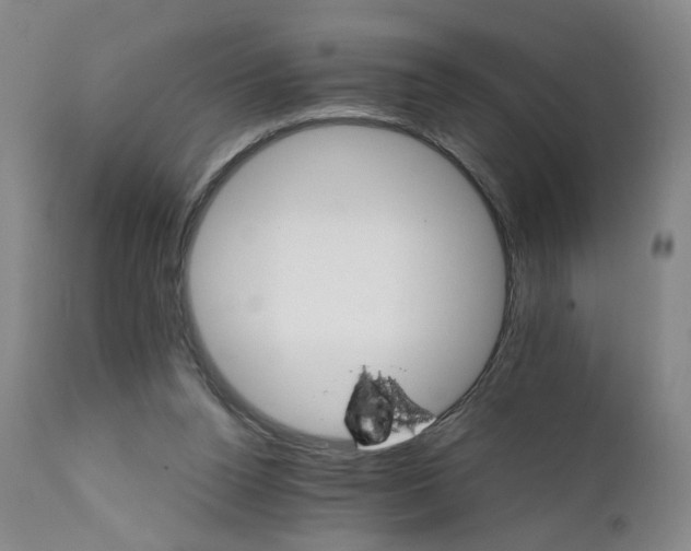 X0000111230160200907231512