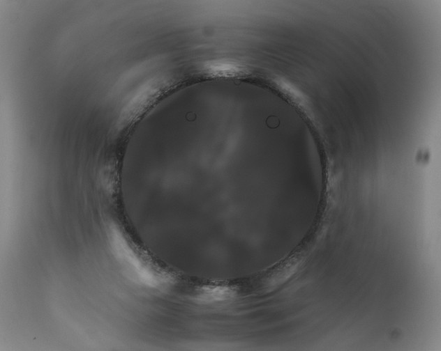 X0000111230161200907231512