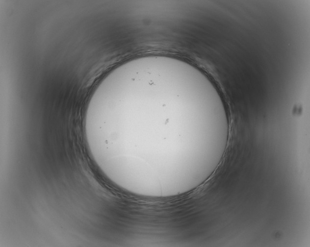 X0000111230162200907231512