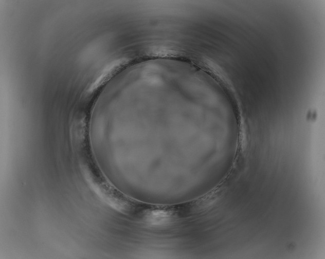 X0000111230163200907231512