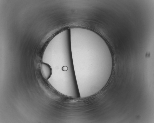 X0000111230164200907231513