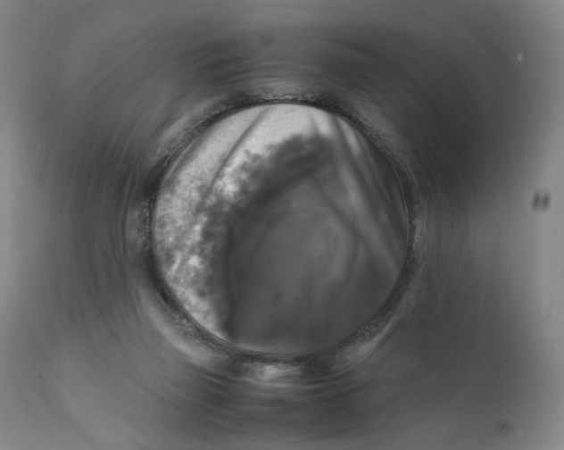 X0000111230165200907231513