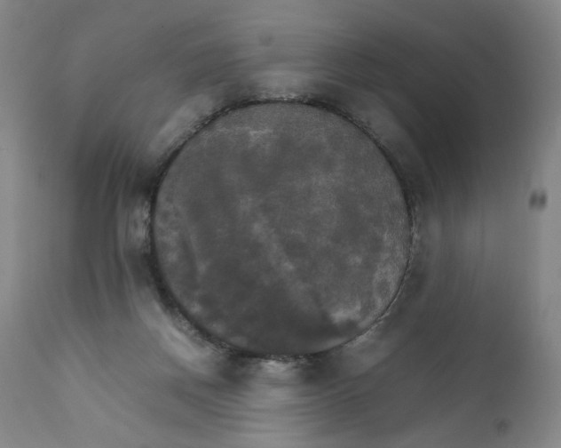 X0000111230166200907231513