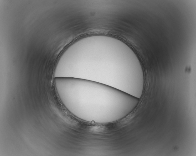 X0000111230168200907231513