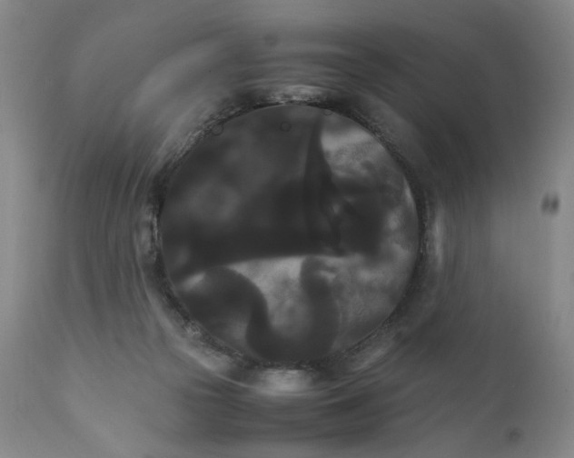 X0000111230169200907231513