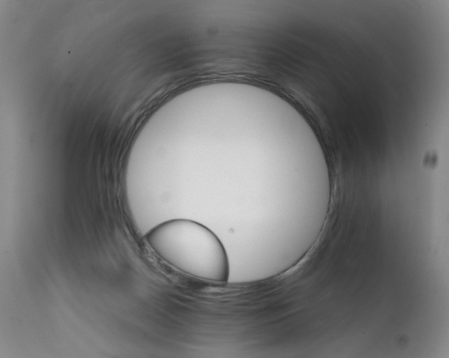 X0000111230170200907231513