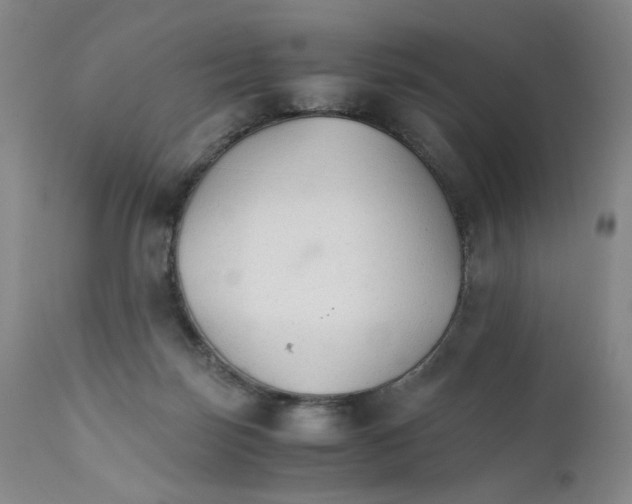 X0000111230171200907231513