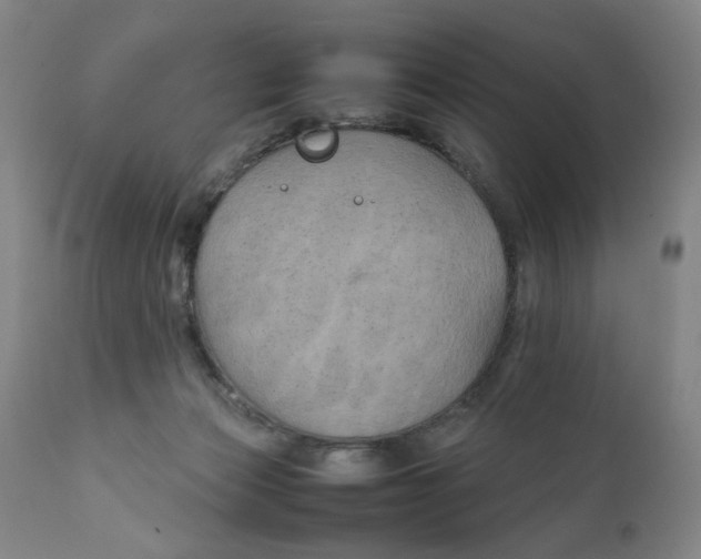 X0000111230173200907231513