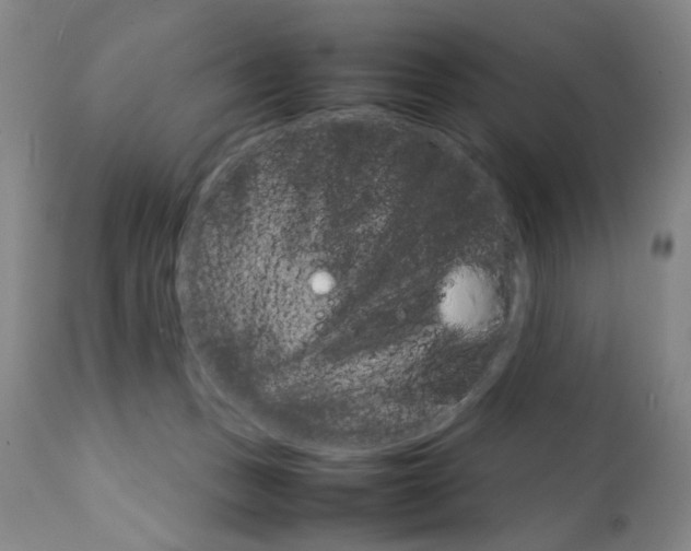 X0000111230175200907231513