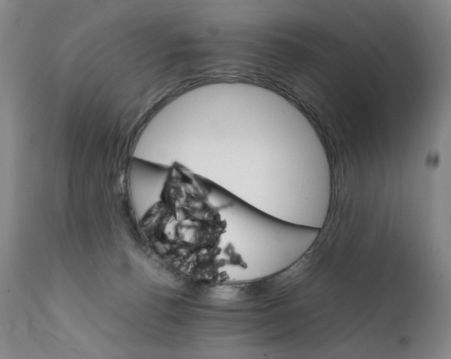 X0000111230176200907231513