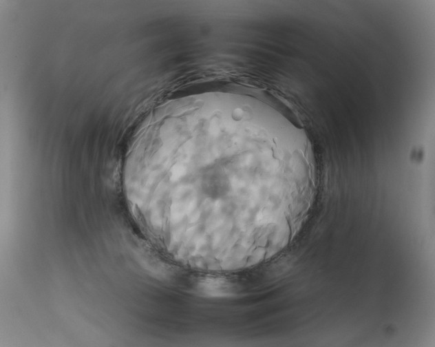 X0000111230177200907231513