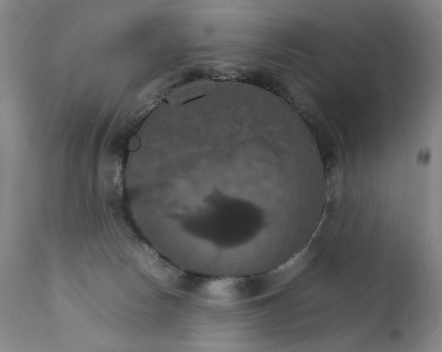 X0000111230178200907231513