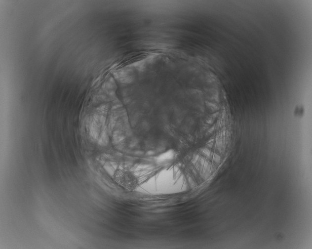 X0000111230179200907231513