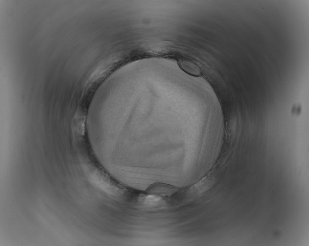 X0000111230180200907231513