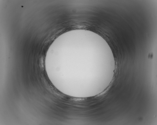 X0000111230182200907231513