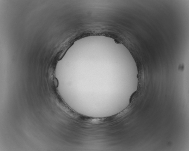 X0000111230184200907231513