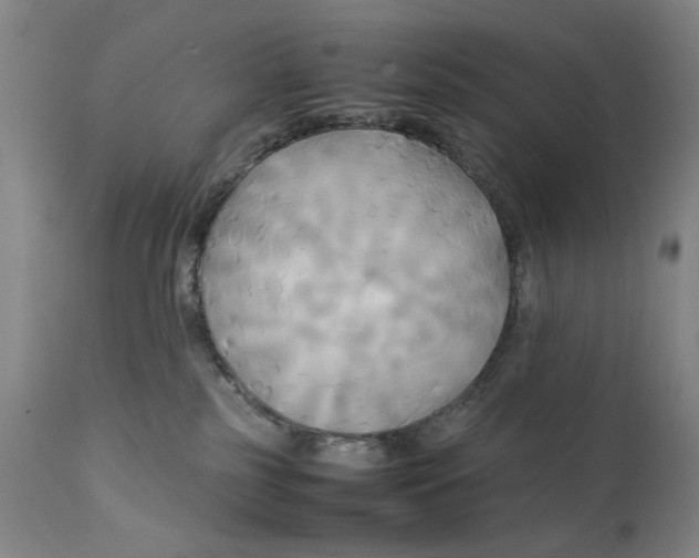 X0000111230185200907231513