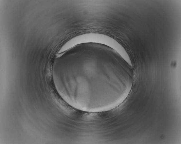 X0000111230186200907231513