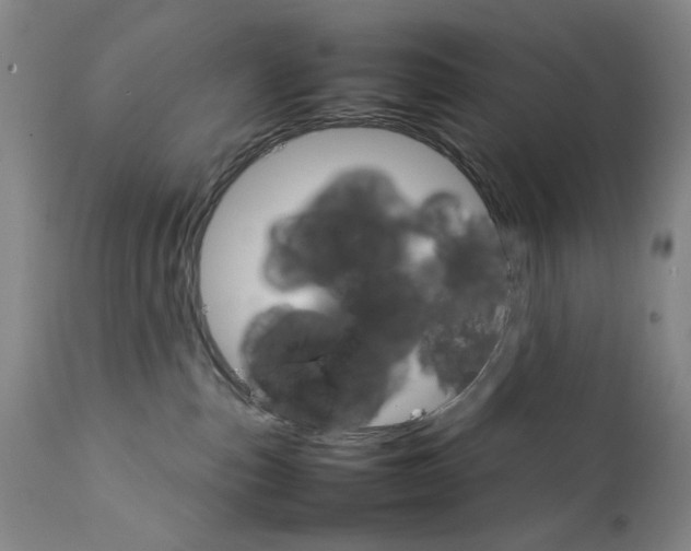 X0000111230187200907231513