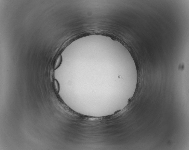 X0000111230188200907231513