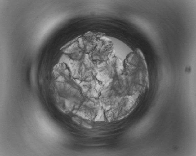 X0000111230189200907231513