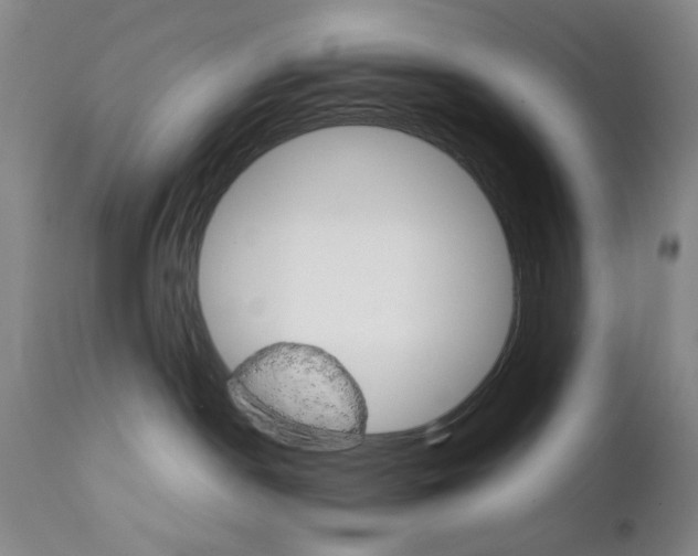 X0000111230190200907231513