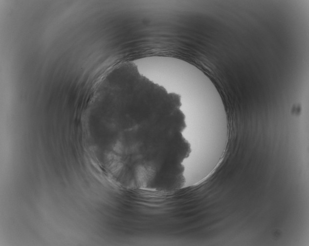 X0000111230191200907231513