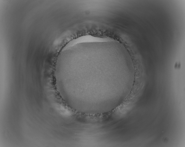 X0000111230192200907231513