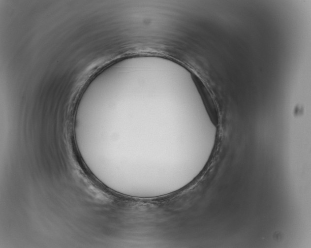 X0000111230193200907231512