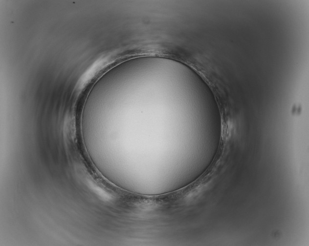 X0000111230198200907231512