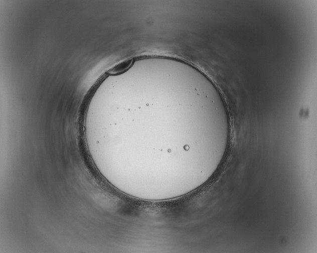 X0000111230199200907231512