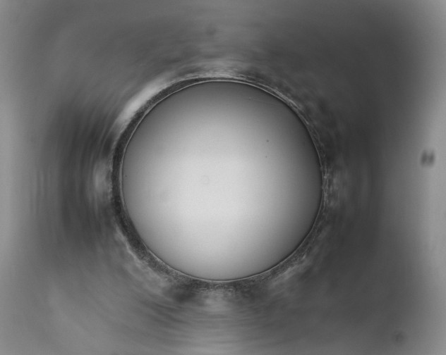 X0000111230200200907231512