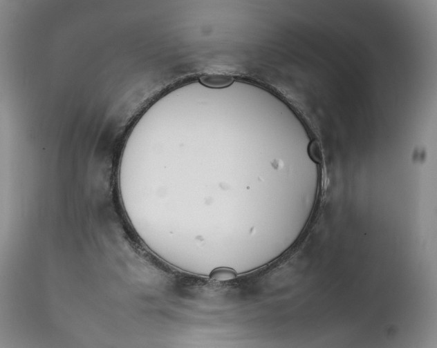 X0000111230201200907231512