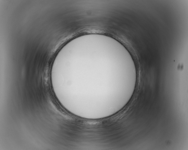 X0000111230202200907231512