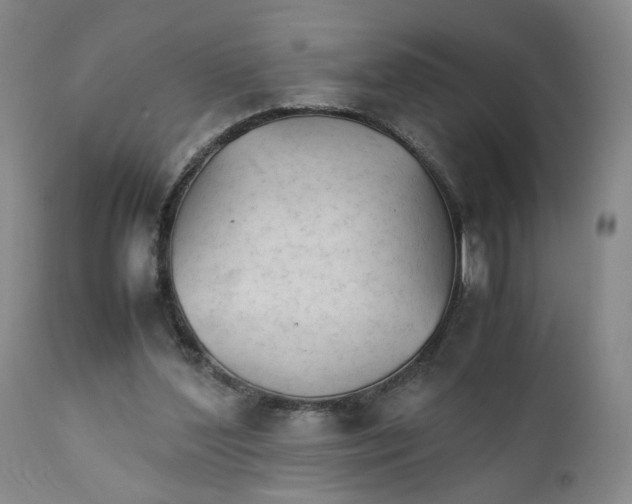 X0000111230204200907231512