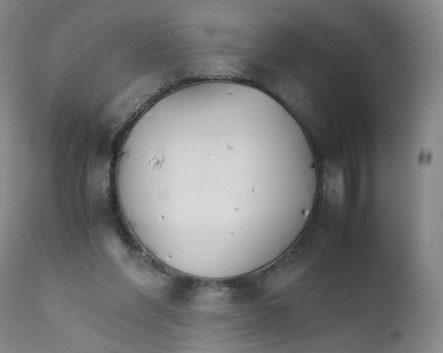 X0000111230206200907231512