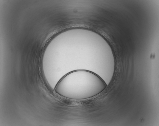 X0000111230207200907231512