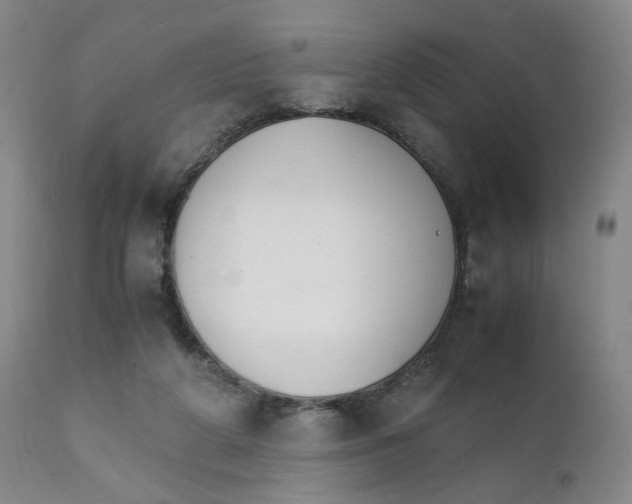 X0000111230210200907231512