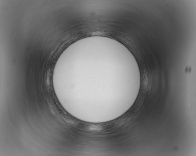 X0000111230214200907231512