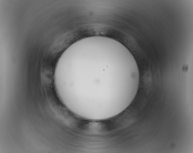 X0000111230218200907231512