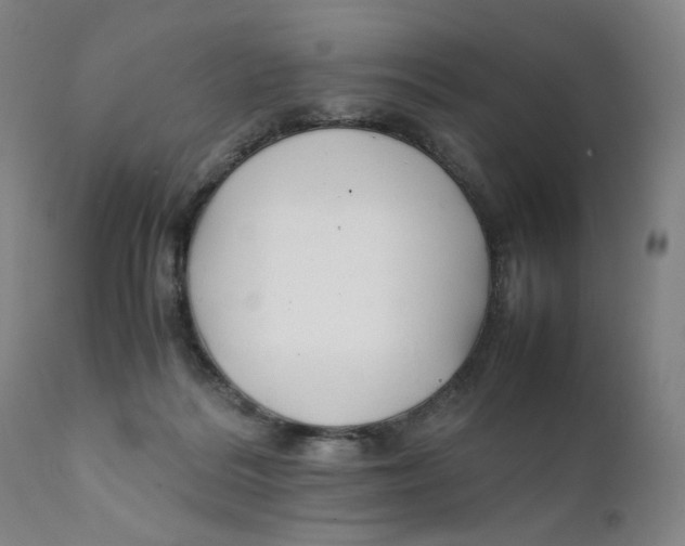 X0000111230220200907231512