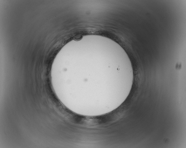 X0000111230221200907231512