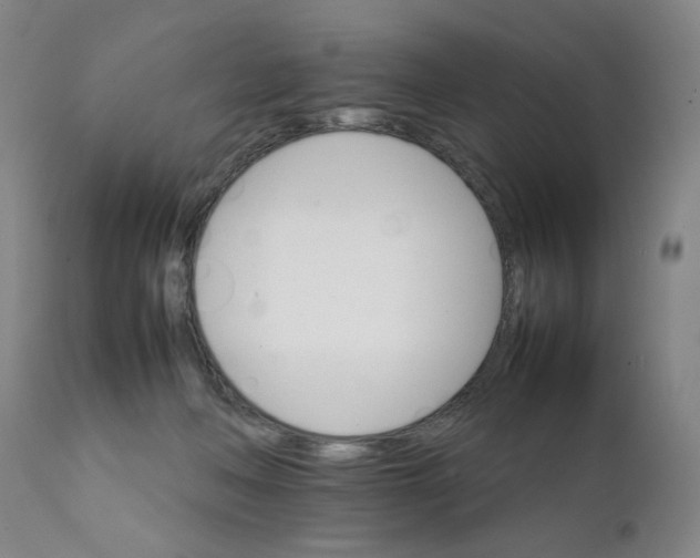 X0000111230222200907231512