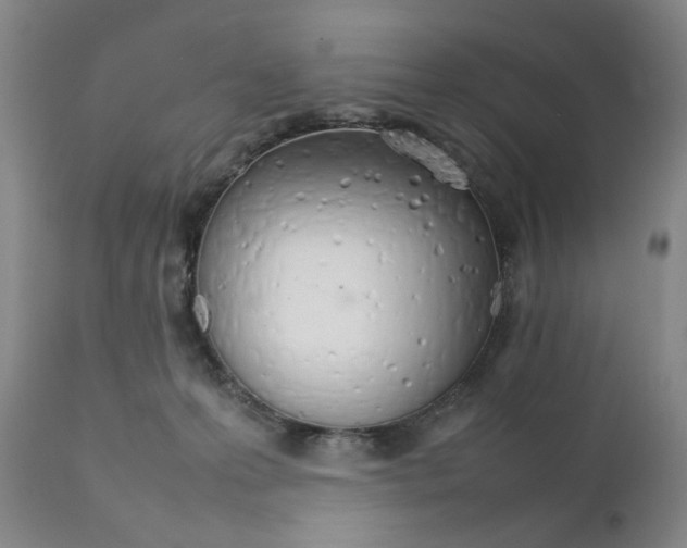 X0000111230223200907231512