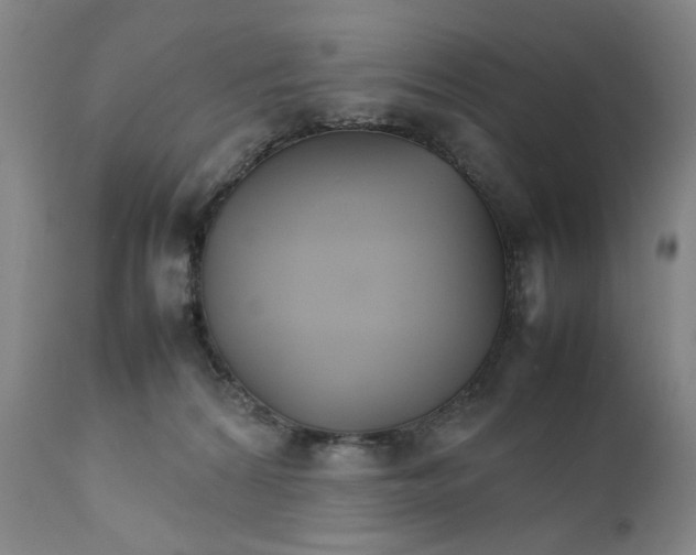 X0000111230224200907231512